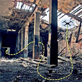 US made bird-like UAVs for rescue operations