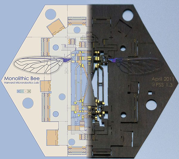 US made the first robot bee