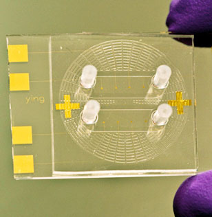 US scientists develop new TB diagnostic chip