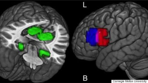 US scientists find out how to read human thoughts