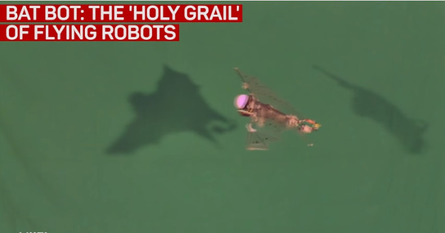 US UAV flapping wings like bats