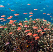 USAID funded research on environmental resources