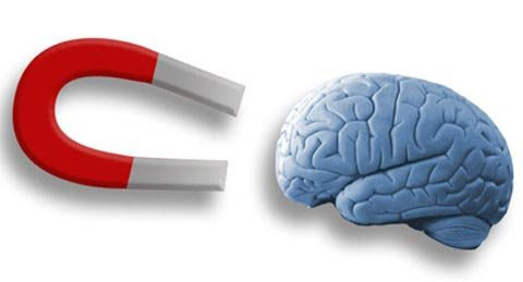 Use a magnet to control the brain