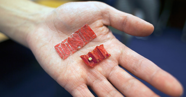 Use a robot to remove objects in the stomach
