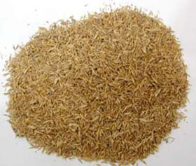 Use beer residue to generate electricity