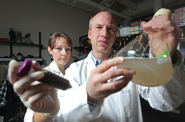 Use biofilm to clean toxins during oil sludge recycling