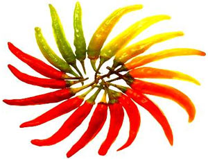 Use chili to make anesthetic