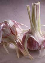 Use garlic to treat the disease
