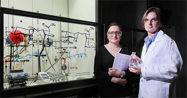 Use gel from brown algae and soluble polymer to protect donated tissue