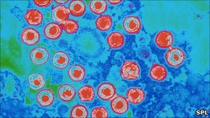 Use Herpes virus to treat cancer