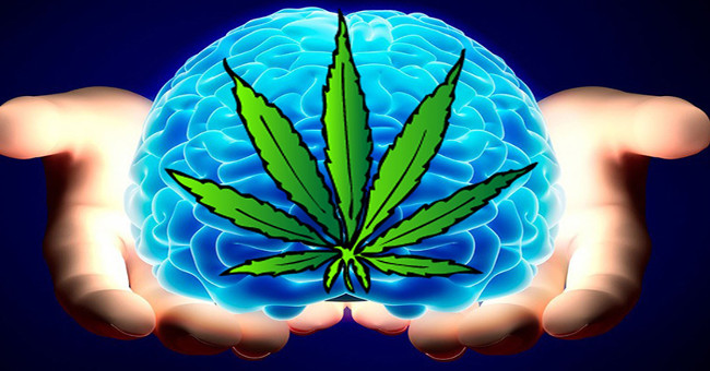 Use marijuana to harm the brain