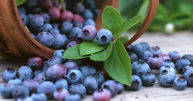 Use plasma rays to remove bacteria in fruits