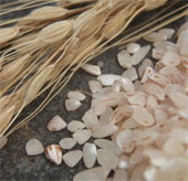 Use rice husks to produce electric batteries