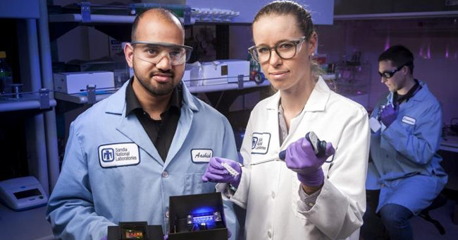 Use smartphones to detect early viral diseases from mosquitoes