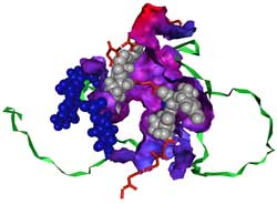 Use tiny particles to kill cancer cells