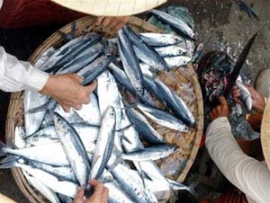 Using healing fish: high risk of death
