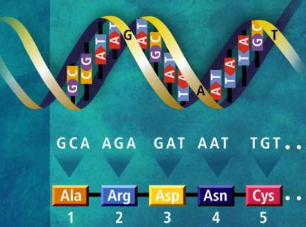 Using HHBLITS software improves the method of comparing protein chains