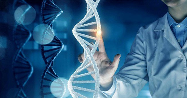 Using HIV gene therapy technology: New hope of Russian scientists