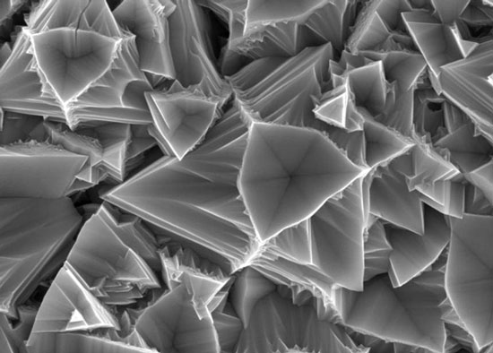 Using Nano DNA sensor in cell research