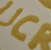 Using sand as an anode, triple the performance for Li-ion batteries