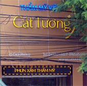 Using science to assess the death of Cat Tuong