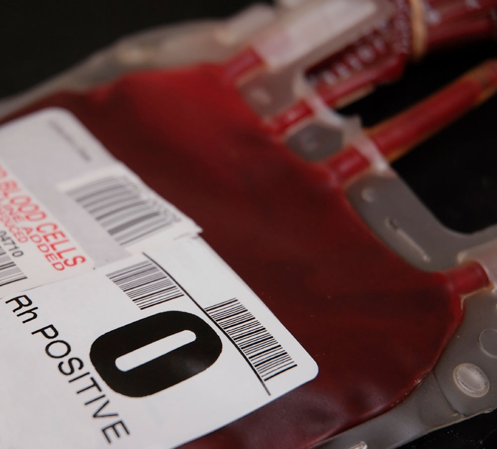 Using stem cells to treat genetic anemia