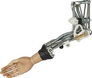 Using the tap of the elephant as a design model - making the arm by biological engineering