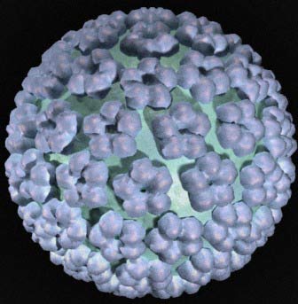Vaccine to prevent cervical cancer is nearly 100% effective