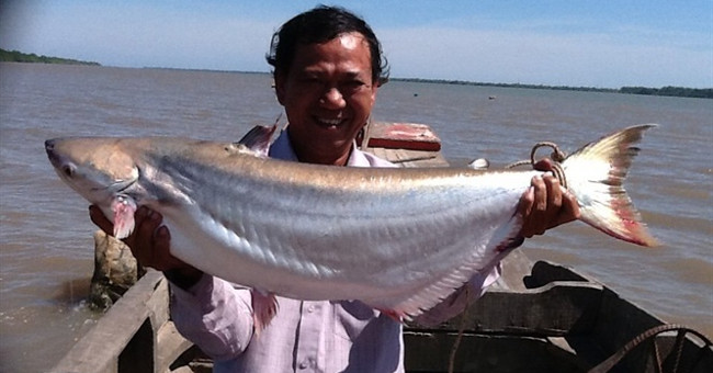 Vam Nao and the interesting anecdote about the 5-legged crocodile