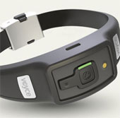 Veil watch for the health of pets Voyce