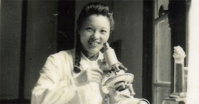 Vi Kim Ngoc: A talented woman who is passionate about drawing mosquitoes
