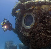 Video: 31-day journey under the ocean