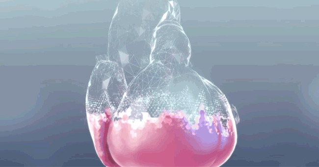 Video: 3D model of heart structure and operation built with supercomputer