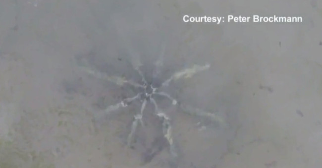 Video: 8-foot starfish object suspected of alien equipment