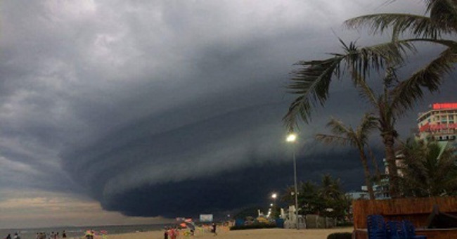 Video: A cloud of 'monsters' appears in Sam Son beach