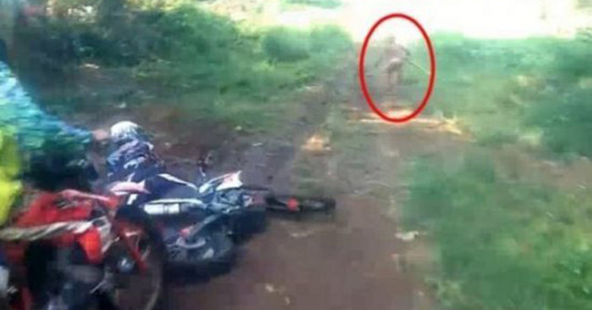 Video: A dwarf was discovered and fled in the Indonesian forest