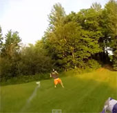 Video: Aircraft drone mounted fireworks release