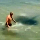 Video: Almost lost his life because of playing with stingrays