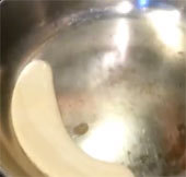 Video: Boil beer on a hot pan