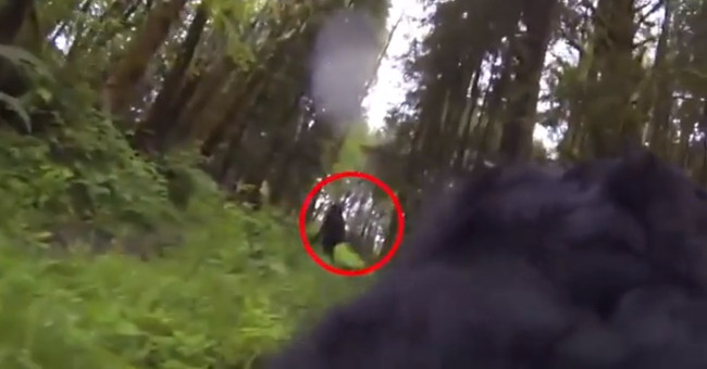 Video: Can you capture the image of Bigfoot monster in the forest?