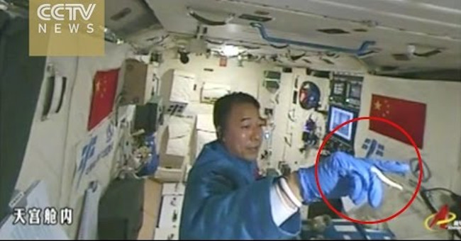 Video: Chinese astronauts play with silkworms in space