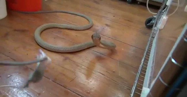 Video: Close up of the world's most dangerous work