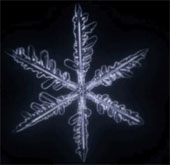 Video: Decode the mysterious snow flower formation