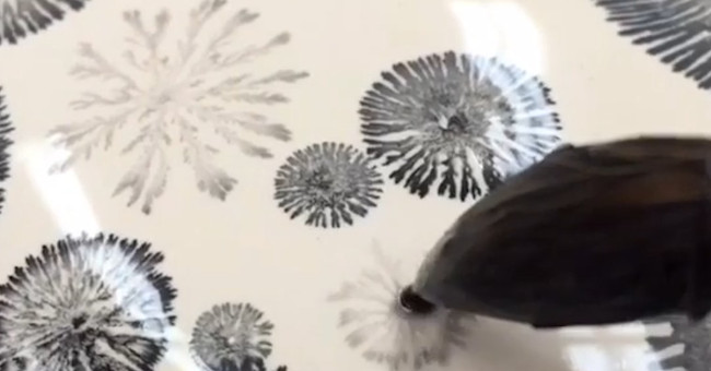 Video: Decorate beautiful ceramics with chemical reactions