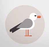 Video: Discover everything about Earth