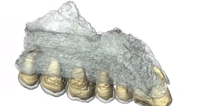 Video: Discover the oldest modern fossil outside Africa