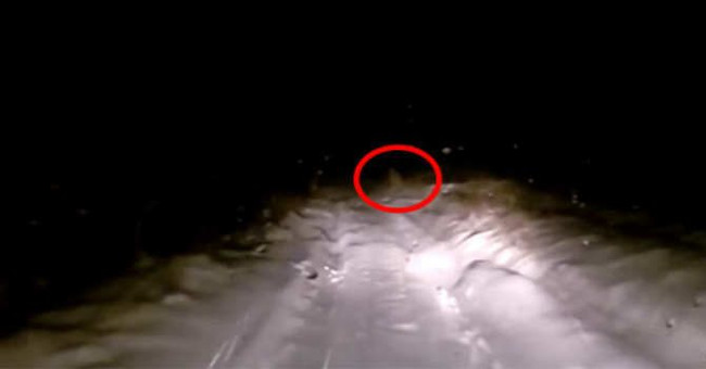 Video: Discovering mysterious creatures like Snowman in remote mountain areas?