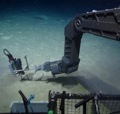 Video: Exploring hot sea floor 400 degrees Celsius