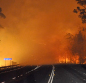 Video: Fire in the wild forest in southern Australia