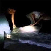 Video: Fishermen help sharks give birth to babies